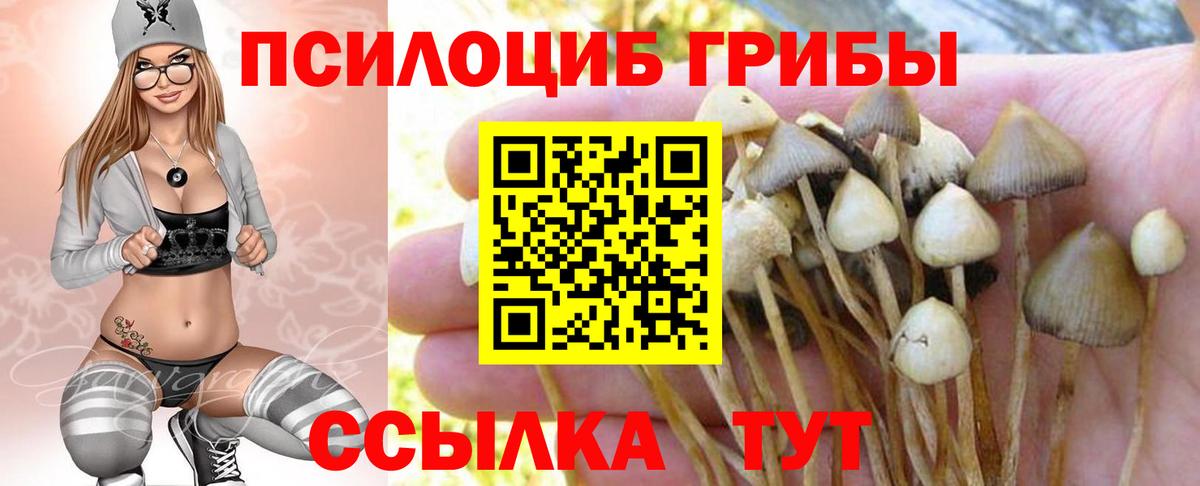 Галлюциногенные грибы GOLDEN TEACHER Нефтекумск