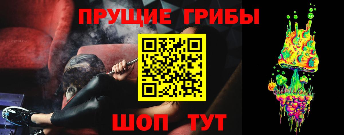 Псилоцибиновые грибы GOLDEN TEACHER  Вход с VPN  Нефтекумск 